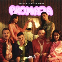 Promaja - Single - Cvija & Gazda Paja