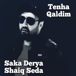 Tenha Qaldım (feat. Shaiq Seda)