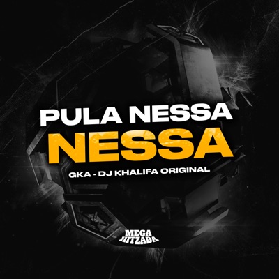 Pula Nessa Vibe - Single