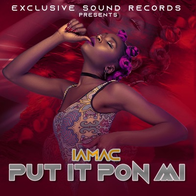 Put It Pon Mi - Single