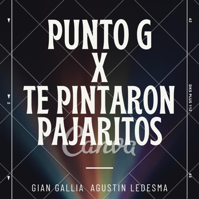 GianGallia - Punto G x Te pintaron pajaritos