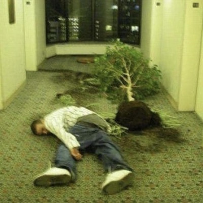 Grass (1 Yr) - Single