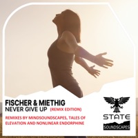 Never Give Up (Remixes) - Single - Fischer & Miethig