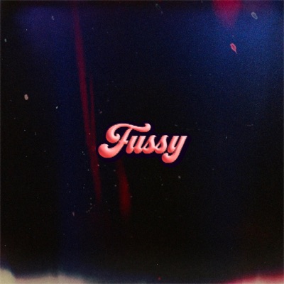 Fussy - Single