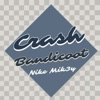 Crash Bandicoot - Single