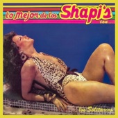 Lo Mejor de los Shapis - EP artwork