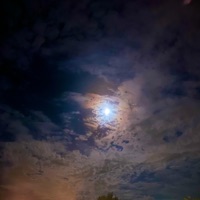 Tell Me Lies - Single - J.SHEP