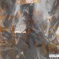 Operation Phoenix - ROSE FROM THE ASH