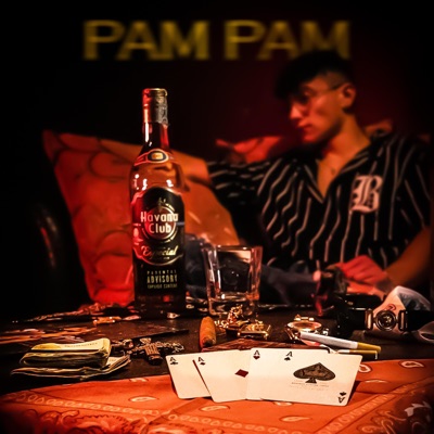 Pam Pam - Single