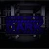 Hiding in the Dark - Single