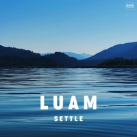 Settle - Single - Luam
