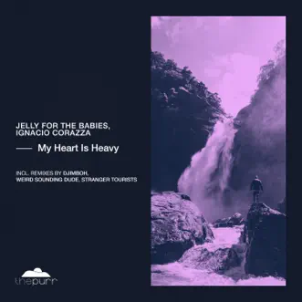 My Heart Is Heavy (Weird Sounding Dude Remix) by Jelly For The Babies & Ignacio Corazza song reviws