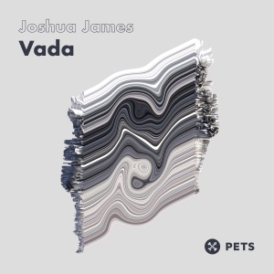 Vada (feat. Princess Julia)