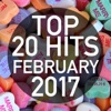 Top 20 Hits February 2017