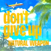 don't give up artwork