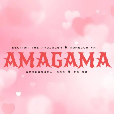 Amagama (feat. Mukeloh Fx, uMshosheli RSA & TG SA) - Single