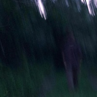 The Definitive - HIBARI555