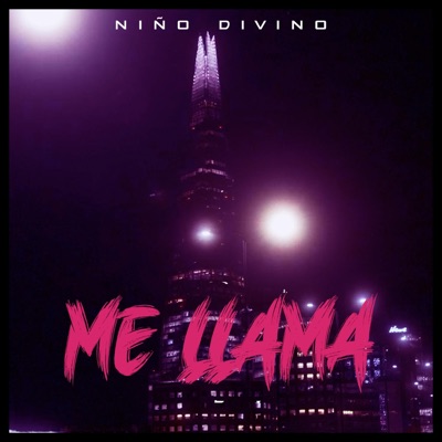 ME LLAMA - Single