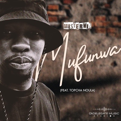 Mufunwa (feat. Topcha noula) - Single