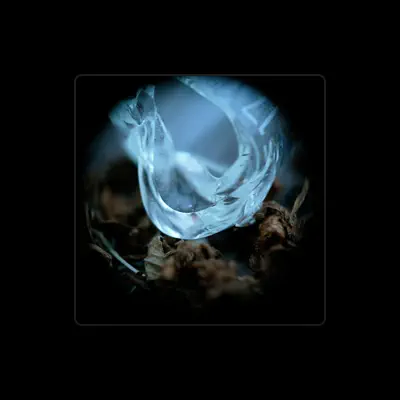 Listen to Ossicles, watch music videos, read bio, see tour dates & more!