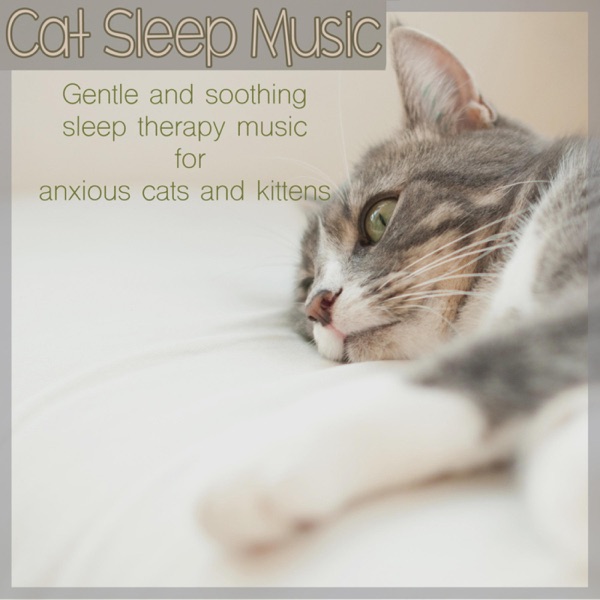 Cat Sleep Music: Gentle and Soothing Sleep Therapy Music for Anxious Cats and Kittens