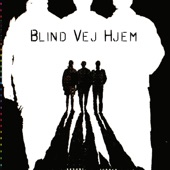 Blind Vej Hjem artwork