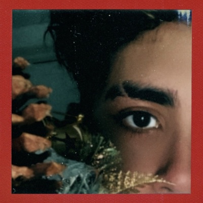 Anxiety On Christmas - Single