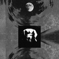 Hound - Single - RAADFORD & Anti