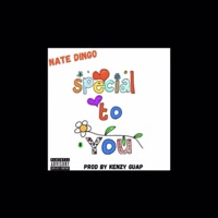 Special To You - Single - NKA