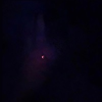 Facts - Single - babyzaya