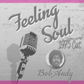 Bob Andy - Feeling Soul