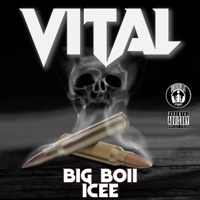 Vital (feat. Icee) - Single - Big Boii