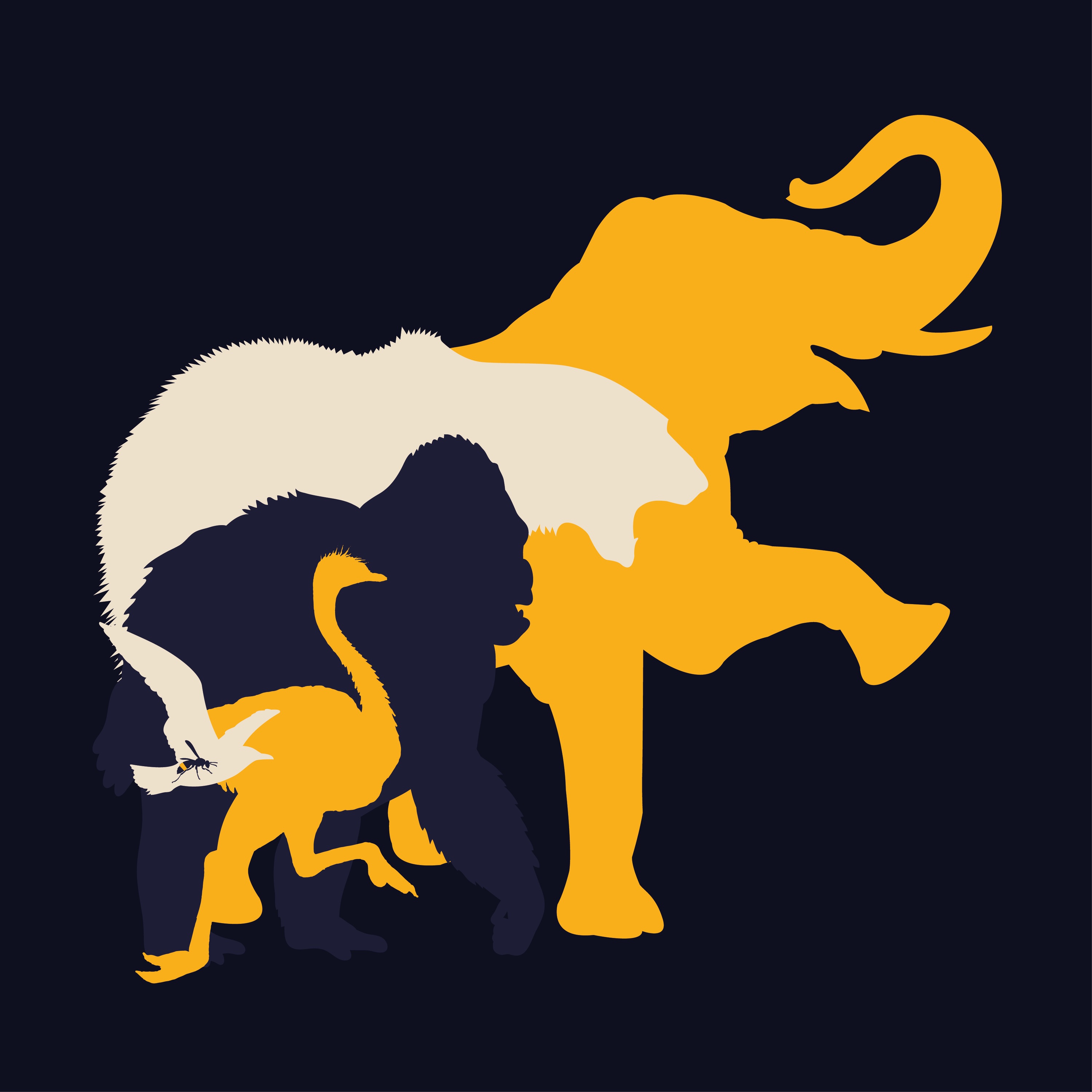 KBH ZOO (feat. Pede B, Funch & Machacha) - Single
