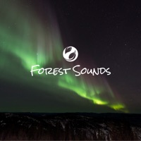 Sounds of the Forest - EP - Forest Sounds