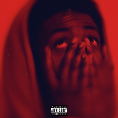 The Boy Who Couldn't Stop - Single