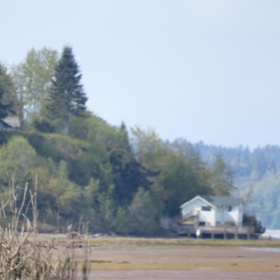 Sea Glass / Return - Single