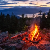 Chill LoFi Beats To Study & Relax To (November 2022 Mix) - miracle