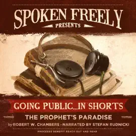 The Prophets’ Paradise (The Going Public … in Shorts Series)
