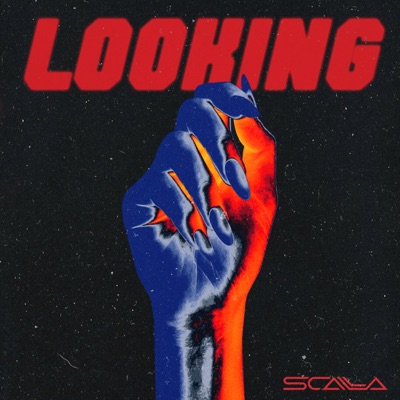 Looking - Single