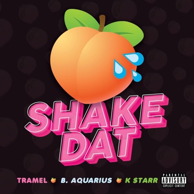 Shake Dat (feat. B. Aquarius & K $tarr) - Single