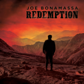 Just 'Cos You Can Don't Mean You Should - Joe Bonamassa Cover Art