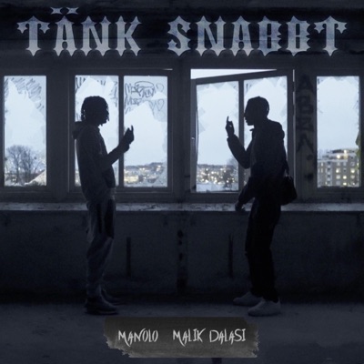 Tänk Snabbt (feat. Malik Dalasi) - Single