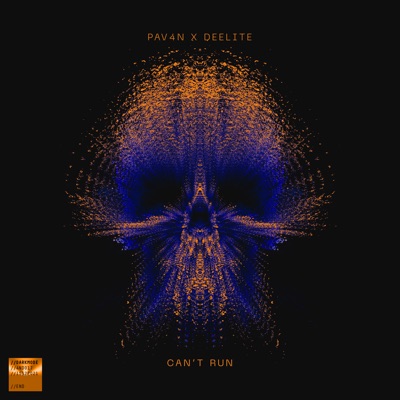 Can't Run - Single