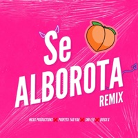 Se alborota (feat. Profeta yao yao, Smi-lee, LeoGezus & sxbastixn bae) [Remix] - Single - MGXG productions