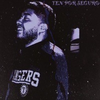 TEN POR SEGURO - Single - Iguano SLP