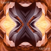 Rapture (feat. Swik) - Single - Foeniks