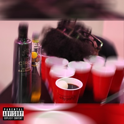 Why Party? - Single