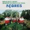 Lira - Grupo De Baile E Cantares Com Motivos Folclóricos Da Ilha Terceira lyrics