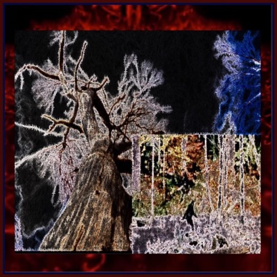 I Don't Waste Time I Just Hate Y'all - Single