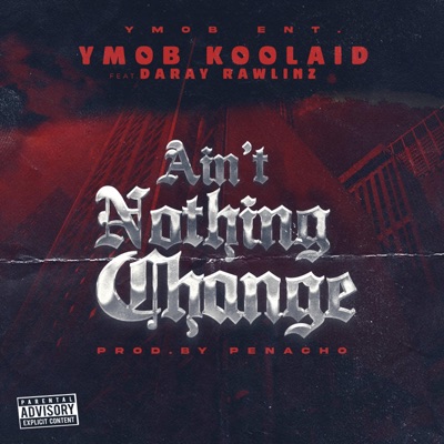 Ain't Nothing Change (feat. Daray Rawlinz) - Single